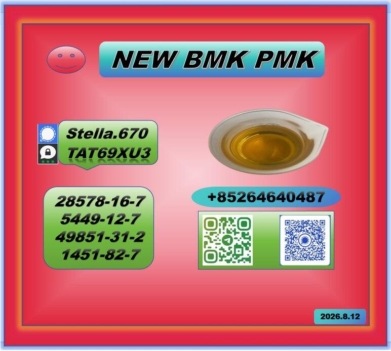 Rich export exposure P.MK 28578-16-7 B.MK CAS 5449-12-7 