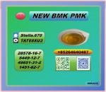 Rich export exposure P.MK 28578-16-7 B.MK CAS 5449-12-7 