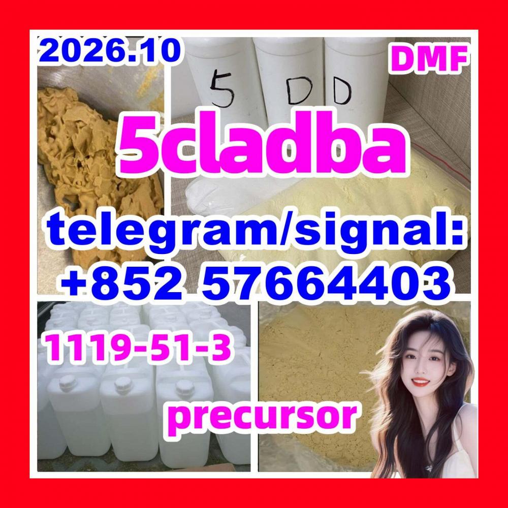 For Sale: 5cladba Raw Material Adbb 1119-51-3 5-Bromo-1-pentene