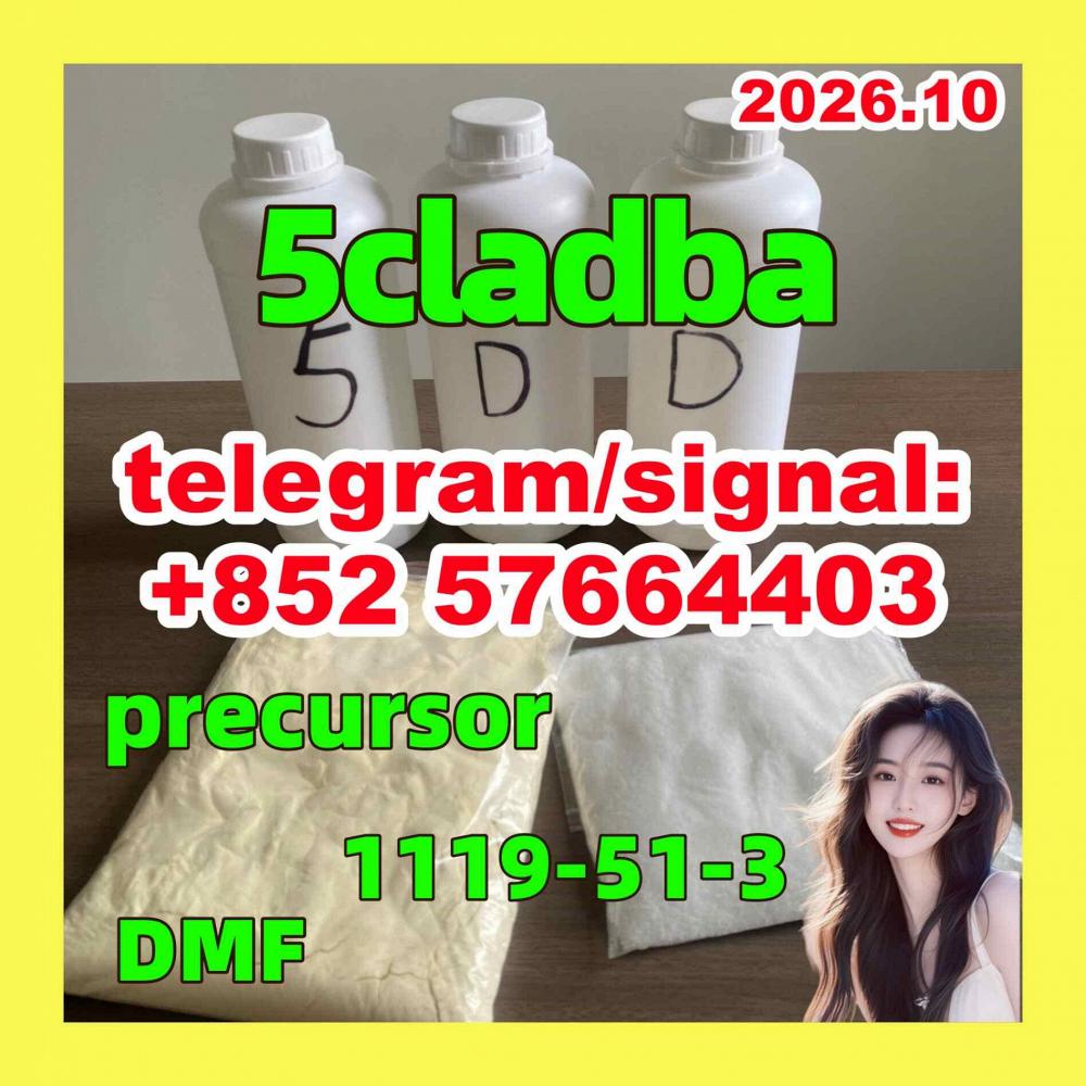 5CLADBA 5CL-ADB-A Strong effect -1119-51-3 5-Bromo-1-pentene 5CLADBA 5CL-ADB-A Strong effect -1119-51-3 5-Bromo-1-pentene
