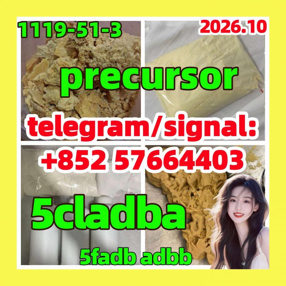 5CLADBA 5CL-ADB-A 5cladb 5cladba 68-12-2 dmf N,N-Dimethylformamide 5CLADBA 5CL-ADB-A 5cladb 5cladba 68-12-2 dmf N,N-Dimethylformamide
