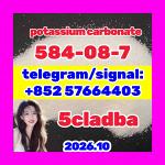 Potassium Carbonate CAS 584-08-7