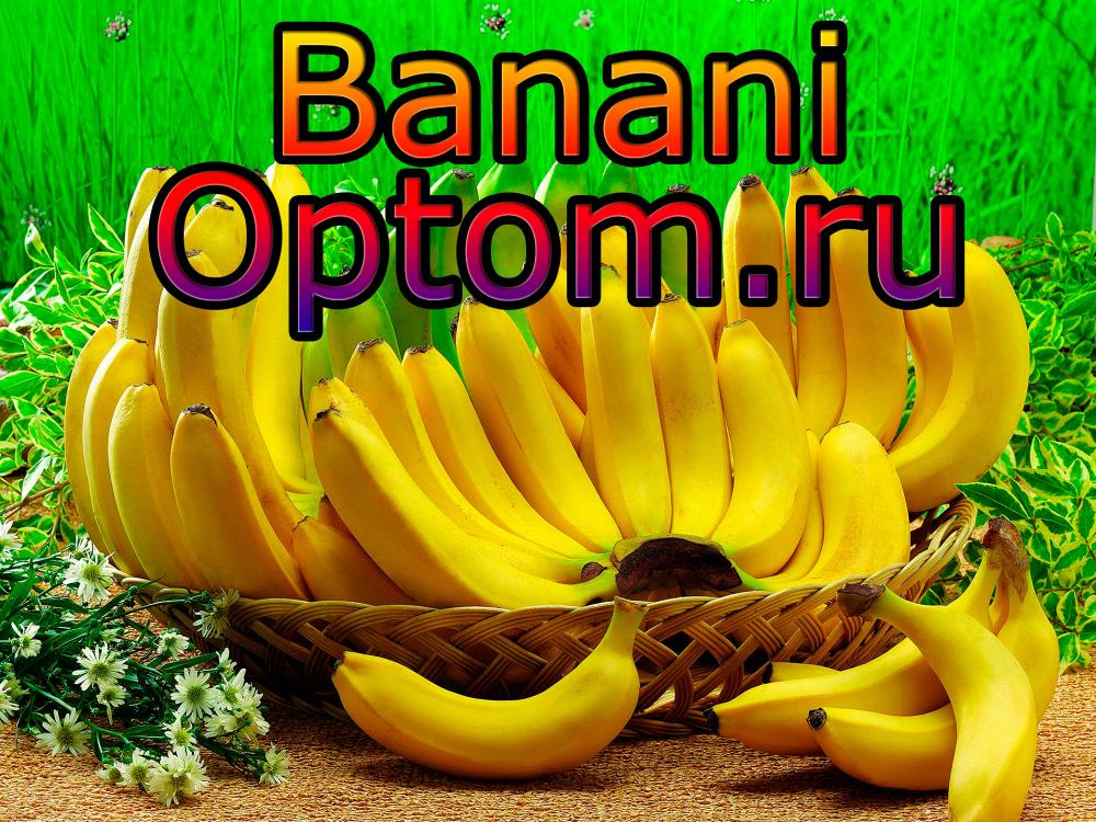Бананы крупным оптом и мелким высшего качества в России из Эквадора от прямого поставщика.