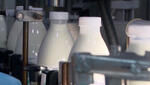 Россельхознадзор отменил запрет на поставки молочного сырья из Беларуси