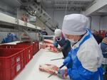 Удмуртия приступила к экспорту пищевой продукции в Монголию