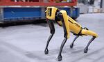 Робот Spot от Boston Dynamics отправляется работать на норвежскую буровую платформу