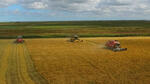 Площади рисовых полей в Дагестане за три года увеличены почти на 9 тыс. га