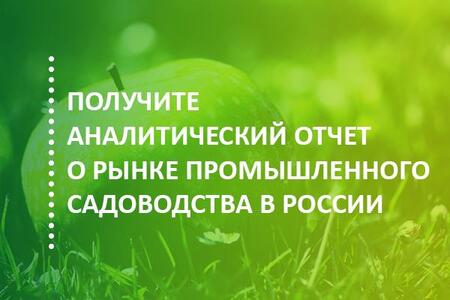 Отчет об итогах 2018 года и перспективах развития рынка промышленного садоводства в России