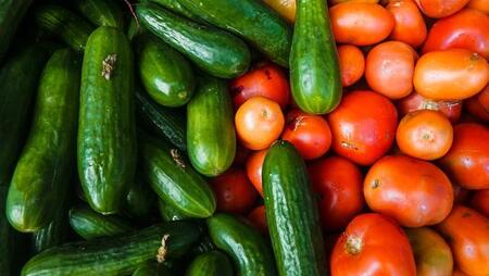 Минсельхоз предложил ограничить госзакупки импортных томатов и огурцов
