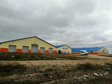 В Удмуртии открыт новый молочный комплекс на 800 голов КРС