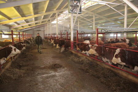 На Горном Алтае открылась новая молочная ферма