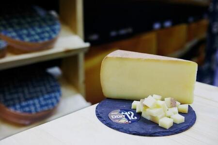 ГК «ЭкоНива» начала производство твёрдого сыра 12-месячной выдержки