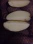 Продовольственный и семенной картофель оптом