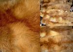 Натуральный мех лисы
