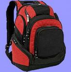 Рюкзак для ноутбука БИС - 213
