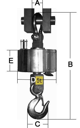 Весы крановые ЕК-СМ-5