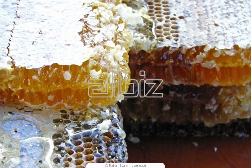 Мед пчелиный
