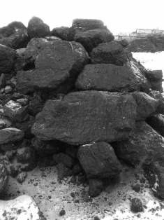Уголь каменный с разрезов Кузбасса и Хакасии