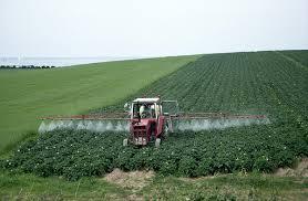Пестициды. Средства защиты растений 