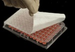 Пленка для запечатывания иммунопланшетов для ИФА анализа (microplate sealing film)