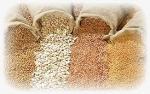 Оптовые поставки зерновой продукции