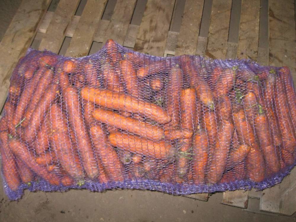 Покупаем оптом морковь хорошего качества