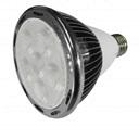 Светодиодная лампа BIOLEDEX 6High Power LEDs PAR30 E27 10W