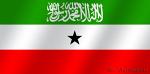 Флаг национальный Сомалиленд