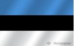 Флаг национальный Эстония