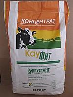 КауСтарт