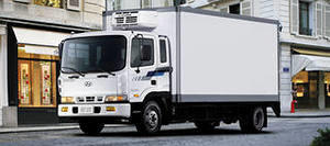 грузовые автомобили Hyundai HD-120 (рефрижераторы, изотермические, промтоварные фургоны)