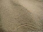 Песок сеяный 25 кг