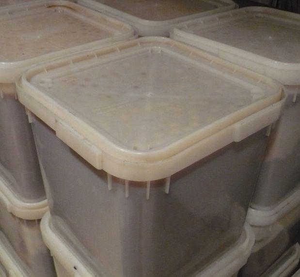 Алтайский мёд в куботейнерах  (30-35 кг.)