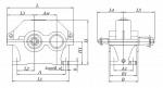 Редуктор 1ЦУ 100