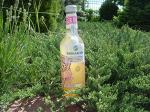 Безалкогольный напиток Rochester Organic Ginger Beer 330мл