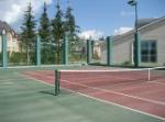 Покрытие для теннисных кортов