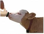 Белково-витаминно-минеральный концентрат для коров Кауфит 20