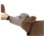Белково-витаминно-минеральный концентрат для коров