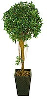 Искусственное дерево Фикус 180см. 2