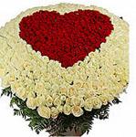 Букет цветов Серце из 501 розы
