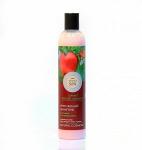 Garnet restore shampoo