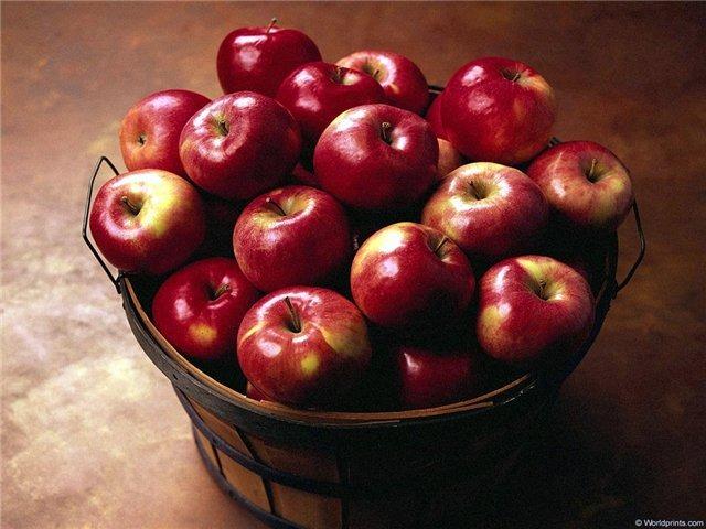 Яблоки зимних сортов оптом