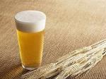 Солод пшеничный пивоваренный-светлый (СПП-С)