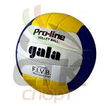 Мяч волейбольный "Gala" (сшитый)