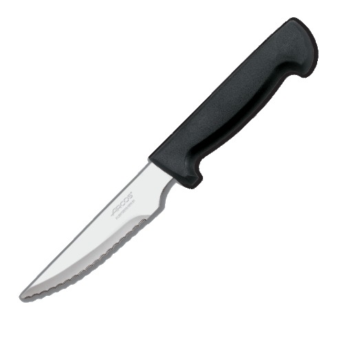 Нож для стейка с зубчатым лезвием, 11,5 см с пластиковой ручкой