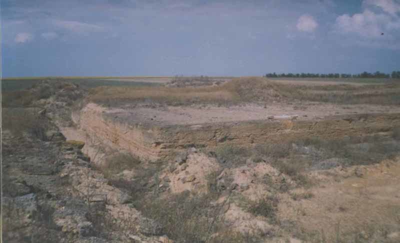 Известняк ракушечник пильный