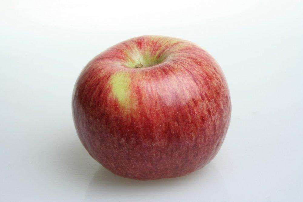 Столовое яблоко 