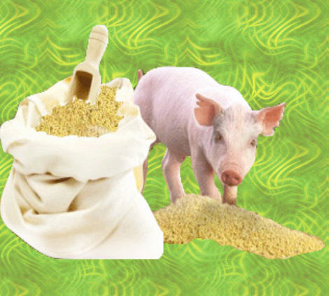 Аминокислотные кормовые добавки прошли трехлетнюю апробацию на собственном   поголовье свиней. РК-Дя №1