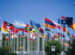 Пошив флагов МСС и ВМСС а также стран государств мира.