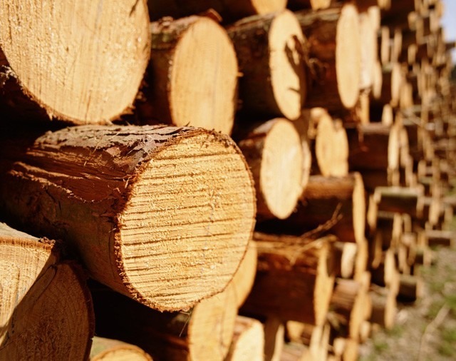 Лесозаготовка и переработка древесины